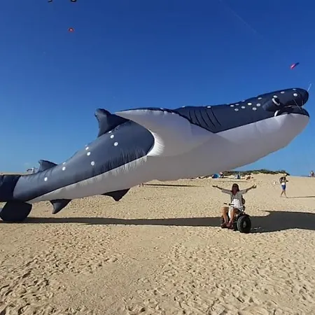 Elisa بيت للعطل