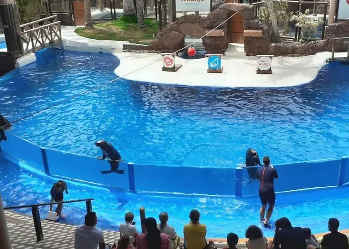 Feriehus Elisa Villaverde (Fuerteventura)